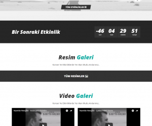 Nurettin Rençber Sanatçı/ Müzisyen 
