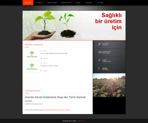 Konya Ereğli Havuç Tohumu